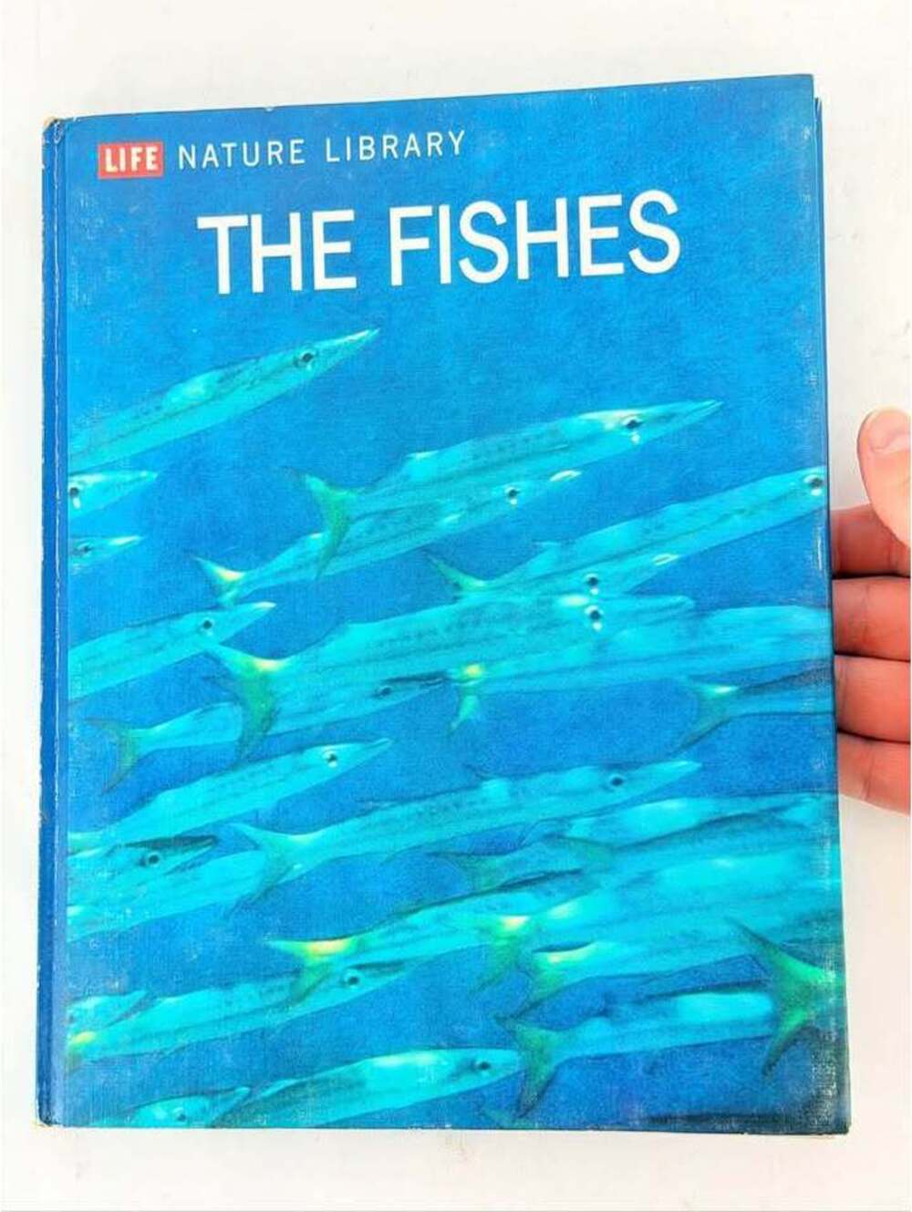 Vintage Life Nature Library "The Fishes" Hardcover Book (1963)
